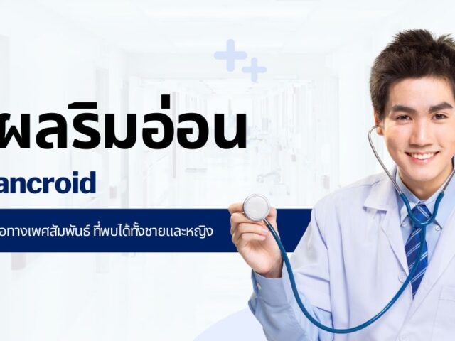 แผลริมอ่อน | Chancroid